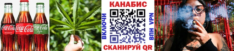 площадка как зайти  Талица  Cannafood конопля 