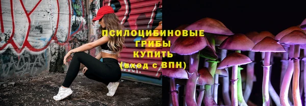 a pvp Лиски